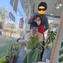 새꽃마을뜨란채 119동 건너편 이미지