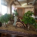 솔잎정육식당 이미지