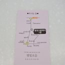 헤인헤어 | 장승배기역미용실 별빛오름 : 긴머리 커트 + 클리닉 후기 (헤인쌤)