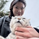 김녕오라이제주점 네이버블로그
