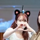 아이유애플