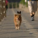 모두애동물병원 이미지