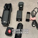 포할리데이 | 인천공항 오즈모포켓3 대여 ‘포할리데이’ 내돈내산 후기