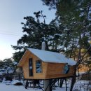 숲속오두막 이미지