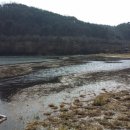 고남저수지 이미지