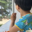 에스제이풀빌라팬션 이미지