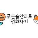 푸른숲안과