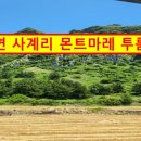 서귀포하나로공인중개사사무소 이미지