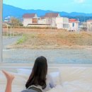 스테이칸 이미지