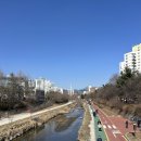 라인아파트 상가 옆 | 서울 중계 무지개아파트 부동산 임장 후기ㅣ직접 걸어보니 이런 분위기!