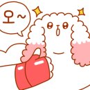 세계로체육관 이미지