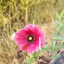 오산2리 경로당 이미지