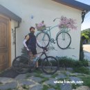 기흥호수공원(뚝방) 이미지