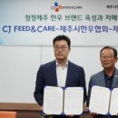 제일피드 이미지