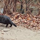 경기도 수원시 팔달구 정조로777번길 이미지