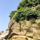 제주앓이 이미지