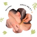 코스마 | 강서구피부관리 화곡동 아피코스마ㅣ윤곽 비대칭 작은얼굴 관리 후기