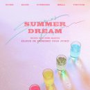 엘리스 티브이데일리