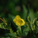 청주청원도서관 이미지