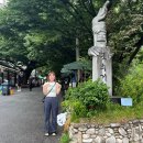 노라텔 | 담양여행 가볼만한곳 메타프로방스,메타세콰이어 길 추천