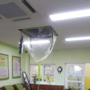 영도유치원 이미지