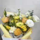 꽃방해바라기 이미지