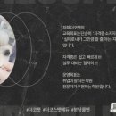 케이엔코퍼레이션 이미지