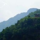 송아지민박 이미지