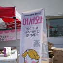 창원 줌마렐라 줌마켓 후기
