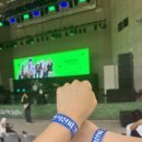 화성시문화재단 반석산피크닉 5월 공연 블루디 더픽스 유다빈밴드 공연 관람 후기