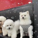 유니독스 이미지