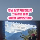 밀양호전망대 이미지