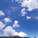 라마리차 이미지