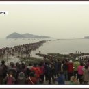 모세산업자원