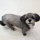 멍데이즈 이미지