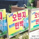 노력항민박 이미지
