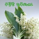 이현공인중개사사무소 이미지