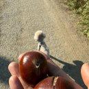 점말농장 이미지