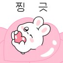 최시혁스냅