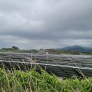 만조 태양광발전소 이미지