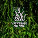 앤클로이토탈뷰티