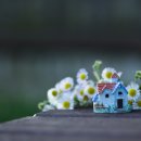 이야기,꽃 이미지