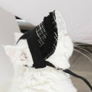PET LOVE 이미지