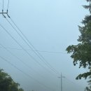 민가네농장 | <봉화 청량산 등산> 3코스등산후기