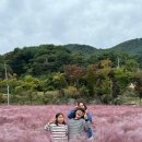 평강목장 이미지