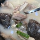 러니스오버 | 양주 옥정 맛집(정뜰 순대국, 러니스오버☕️)