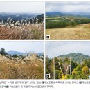 색달동-16 이미지