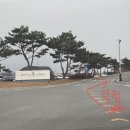 태안호스릴-23 | 로얄링스 CC 3부 야간 노캐디 라운딩 후기 ( 3인 플레이 금액 가격 , 준비물 , 샤워 , 거리측정기...