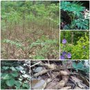 학자농장 이미지