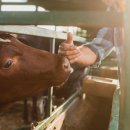 농업회사법인(주)지오엔바이오 이미지
